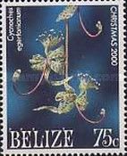 Cycnoches egertonianum