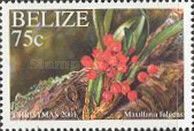 Maxillaria fulgens