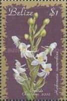 Habenaria monorrhiza