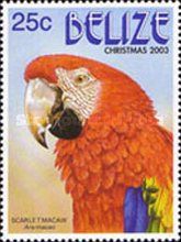 Head of Scarlet Macaw (Ara macao)
