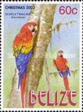 Pair of Scarlet Macaws (Ara macao) on Tree