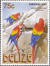 Three Scarlet Macaws (Ara macao) Feeding on Clay