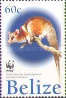Central American Woolly Opossum (Caluromys derbianus)