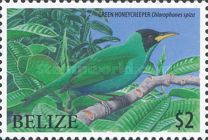 Green Honeycreeper (Chlorophanes spiza)