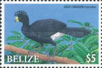 Great Curassow (Crax rubra)