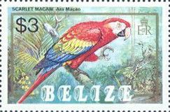 Scarlet Macaw (Ara macao)