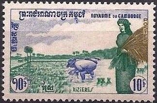 Rice Field ("Agriculture")