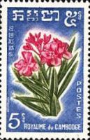 Oleander (Nerium oleander)