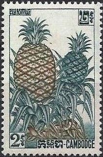 Pineapple (Ananas comosus)