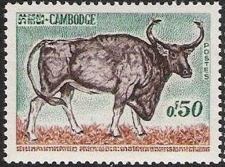 Kouprey (Bos sauveli)
