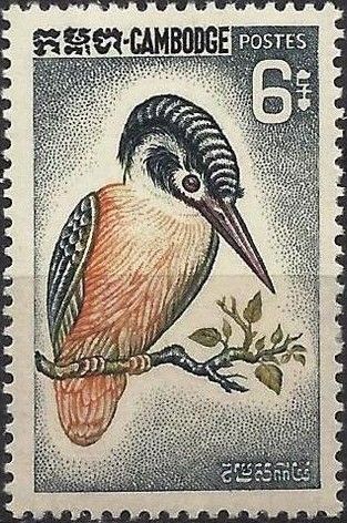 Common Kingfisher (Alcedo atthis)