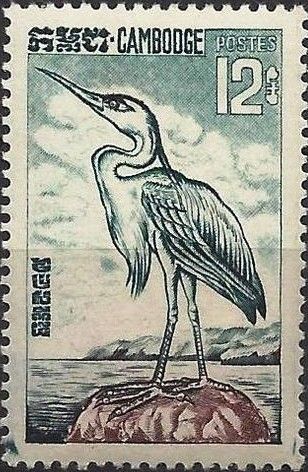 Grey Heron (Ardea cinerea)