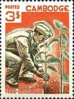 Man Planting Tree