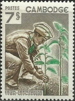 Man Planting Tree