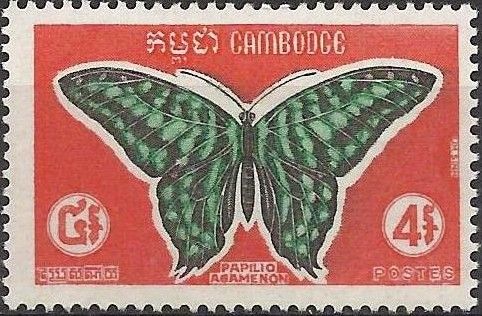 Tailed Green Jay (Graphium agamemnon)