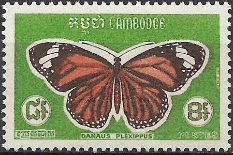 Monarch Butterfly (Danaus plexippus)