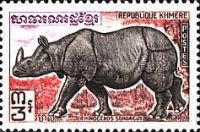 Sunda Rhinoceros (Rhinoceros sondaicus)