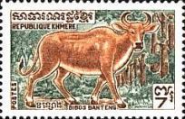 Banteng (Bibos banteng)