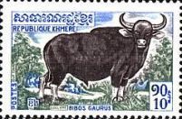 Gaur (Bibos gaurus)