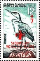Grey Heron (Ardea cinerea)