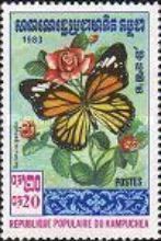 Striped Tiger (Danaus genutia)