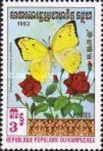 Common Emigrant (Catopsilia pomona pomona)