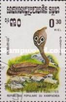 Indian Cobra (Naja naja)