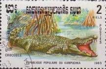 Siamese Crocodile (Crocodylus siamensis)