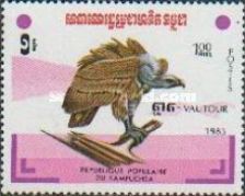 Rüppell's Vulture (Gyps rueppellii)