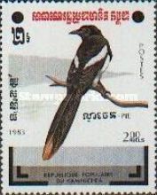 Oriental Magpie (Pica serica)