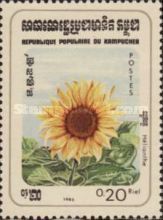 Sun Flower (Helianthus annuus)