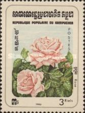 Rosa sp.