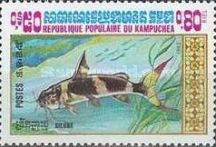 Asian Bumblebee Catfish (Pseudomystus siamensis)