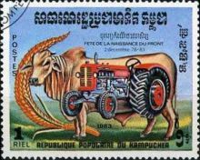 Grain, Beef, Tractor