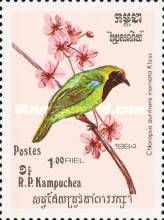Golden-fronted Leafbird (Chloropsis aurifrons inornata)