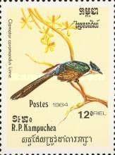 Chestnut-winged Cuckoo (Clamator coromandus)