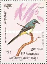 Grey Wagtail (Motacilla cinerea)