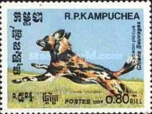 African Wild Dog (Lycaon pictus)