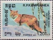 Red Fox (Vulpes vulpes)