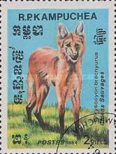 Maned Wolf (Chrysocyon brachyurus)