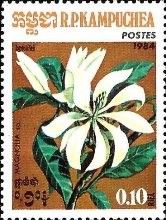 Magnolia