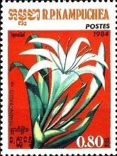 Daylily (Hemerocallis sp.)