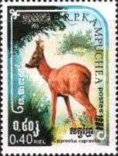 Western Roe Deer (Capreolus capreolus)