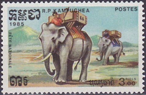 Asian Elephant (Elephas maximus) with Kornak and Howdah
