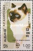 Chocolate-Point-Siam (Felis silvestris catus)