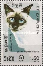 Seal-Point Siam (Felis silvestris catus)