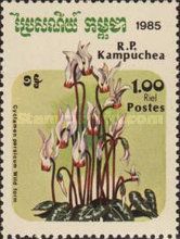 Cyclamen persicum