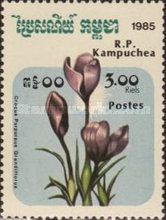 Crocus purpureus grandiflorus
