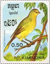 Pelzen's Saffron Finch (Sicalis flaveola pelzelni) 