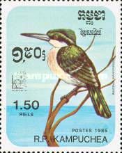 Amazonian Kingfisher (Chloroceryle amazona)